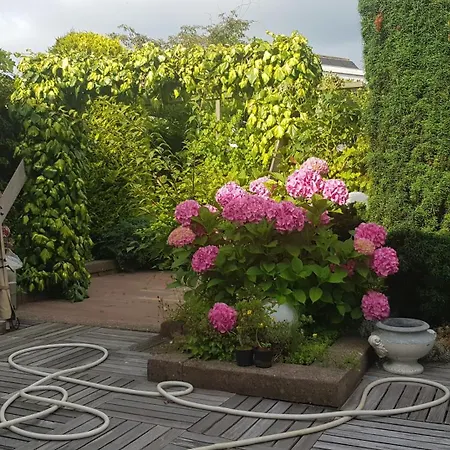 Volendam