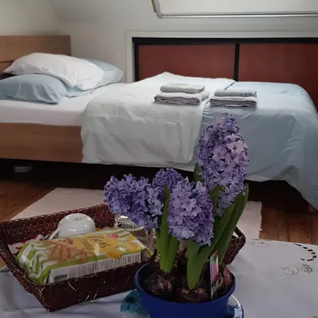 Guest house Volendam *